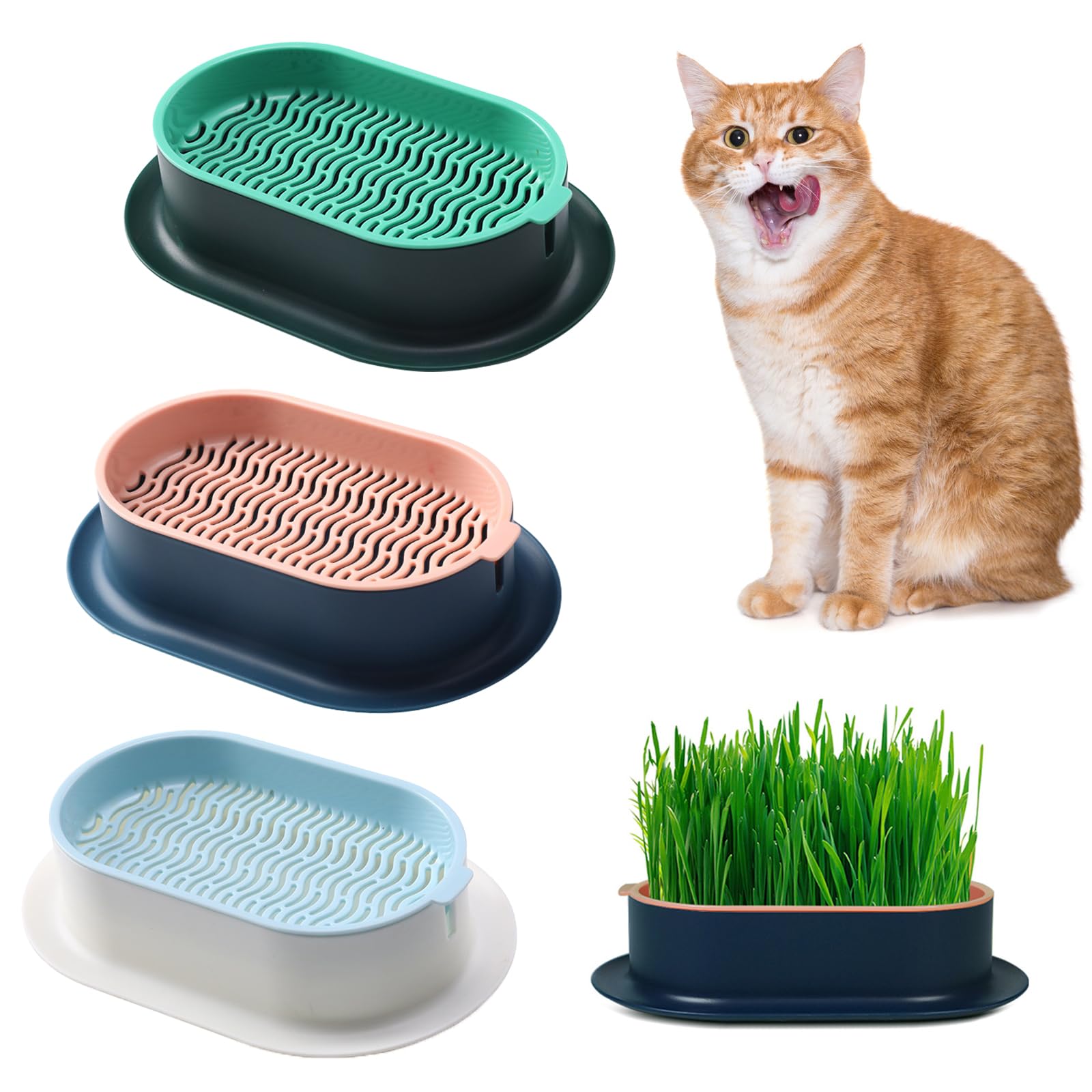 FENGQQKJ 3 Pcs Cat Grass Planter Catnip Cat Grass Box Hydroponic Cat Grass Box Cat Grass Tray Cat Grass Container Cat Grass for Indoor Cats for Planting Cat Grass