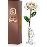 Sinvitron Gold Dipped Infinity Rose Forever Flower Decor, Resin Preserved Real Rose Birthday Gift for Women, Anniversary Present for Mom (Ivory White)