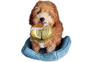 Rite Lite Hanukkah Gelt Coin Dog Toy - Chewdaica Oxford Material Hanukkah Gifts for Dog Owners, Judaica Jewish Holiday Party Favors Chanukah Accessories Décor