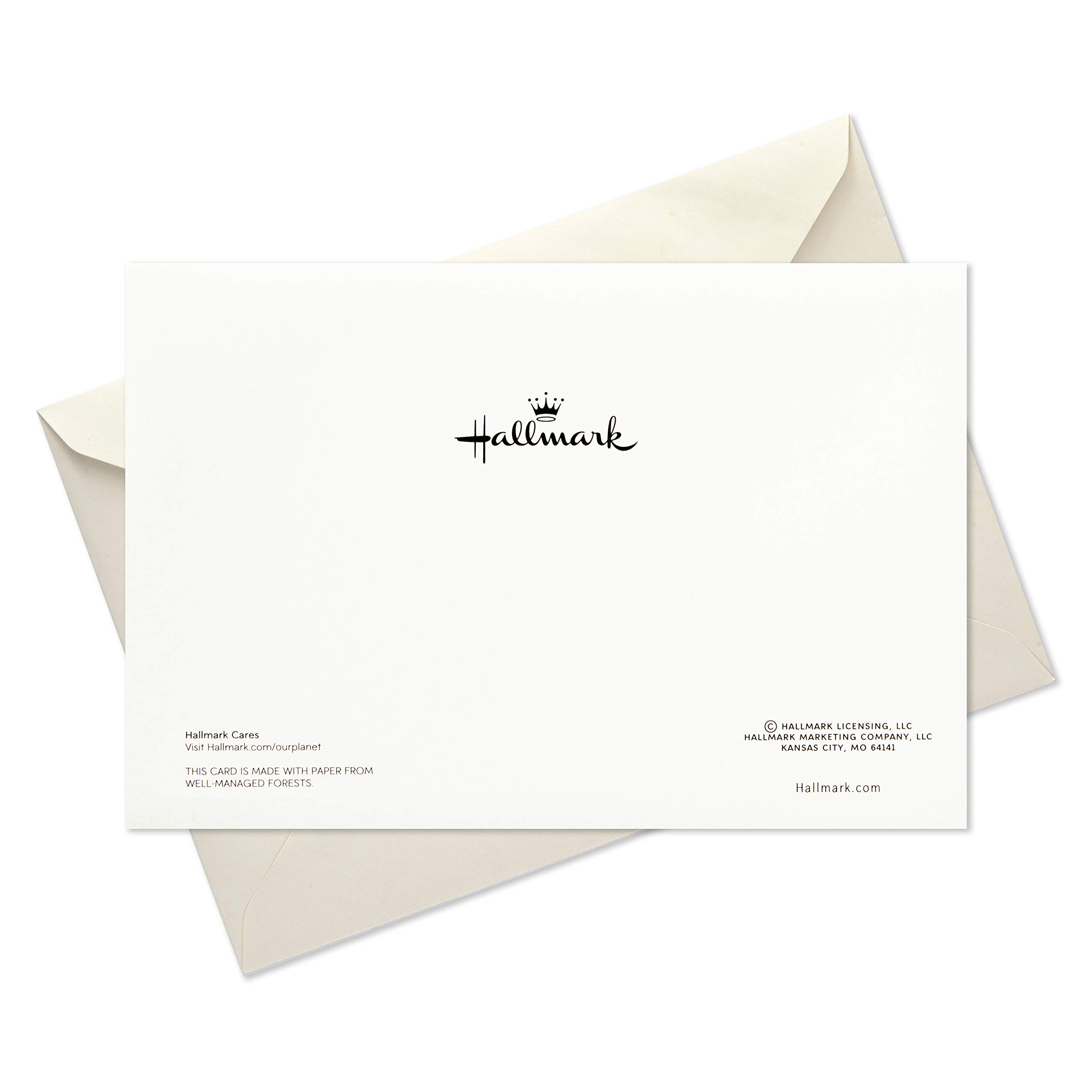 Hallmark Boxed Holiday Cards, Gold Happy Holidays (16 Cards and 17 Envelopes)