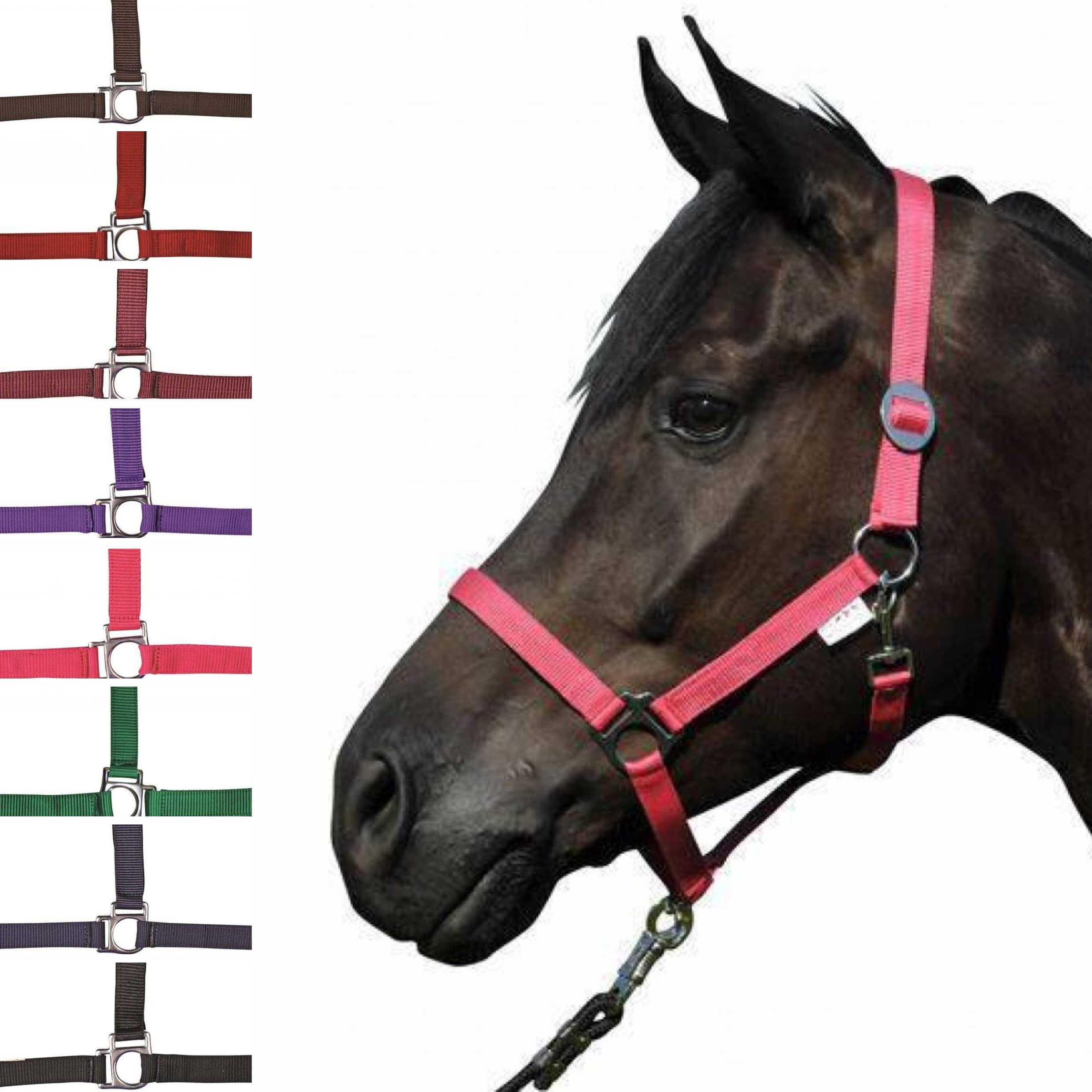 HKM Stars Economy Head collar Black Extra Full