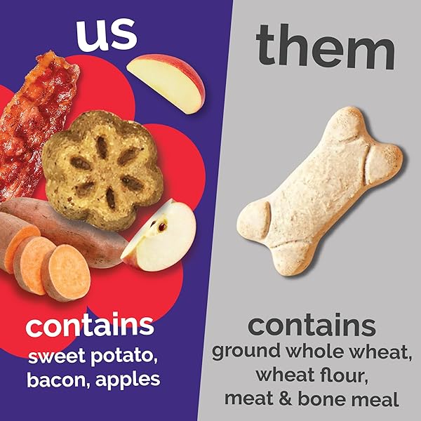 FRUITABLES SKINNY MINI DOG TREATS, HEALTHY SWEET POTATO TREAT FOR DOGS, LOW CALORIE & DELICIOUS, PUPPY TRAINING, FREE OF WHEAT, CORN AND SOY, MADE IN THE USA, BACON AND APPLE FLAVOR, 5OZ