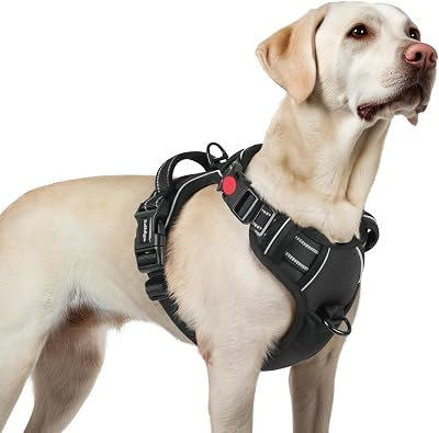 rabbitgoo Large Dog Harness No-Pull Front Back Leash Clips Reflective Black L
