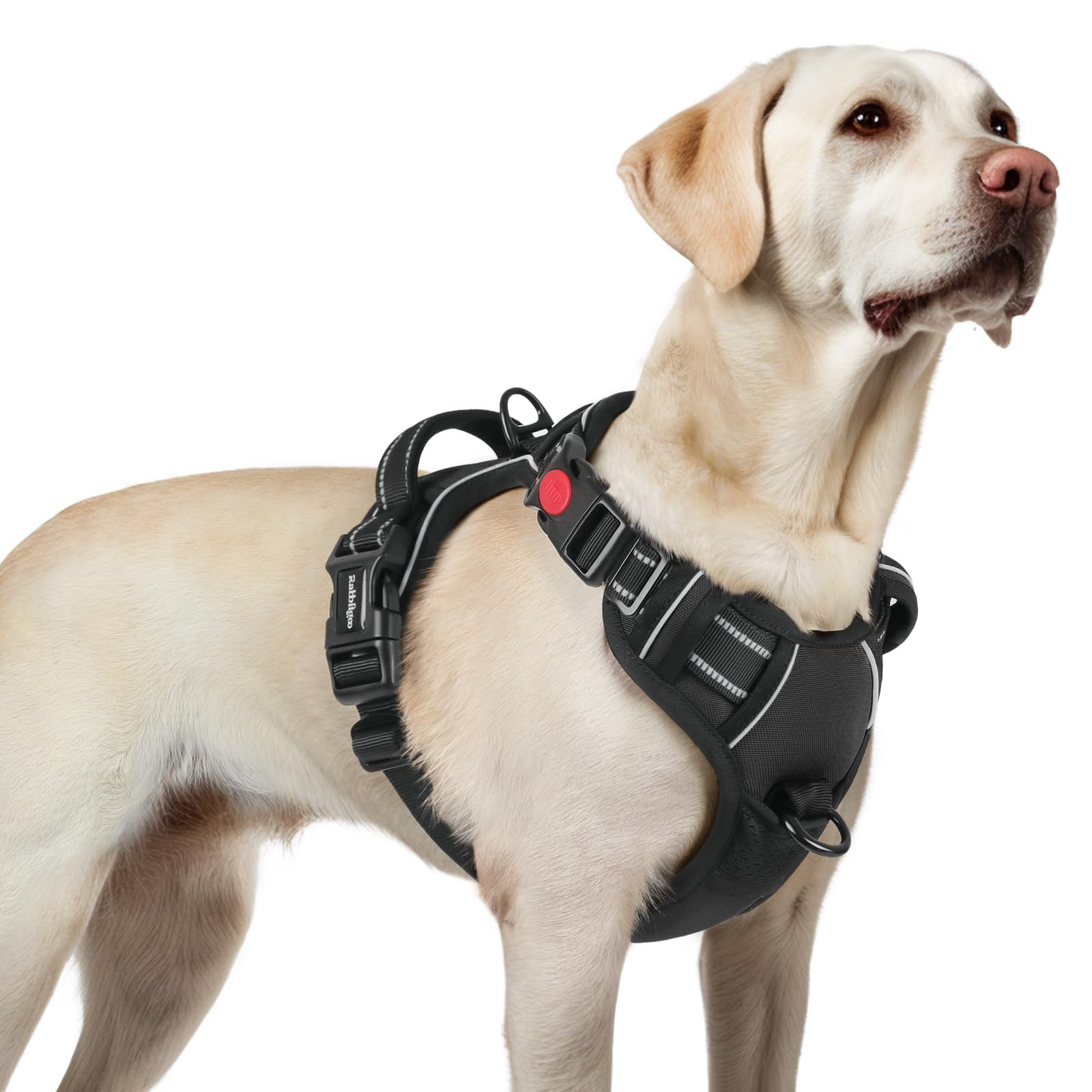 rabbitgoo Dog Harness Large Dog with Neck Release Buckle, No Pull Harness with Front Back Clips, Adjustable Soft Padded with Easy Control Handle, Reflective No-choke Pet Walking Vest, Black, L — image 1