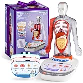 Science Can Human Body Model for Kids, Interactive Anatomy Learning Toys | 11" Human Anatomy Model, Knowledge/Quiz Mode, 15pcs Removable Parts, Learning Booklet, Educational Toy, Gifts for Kids Age 6+