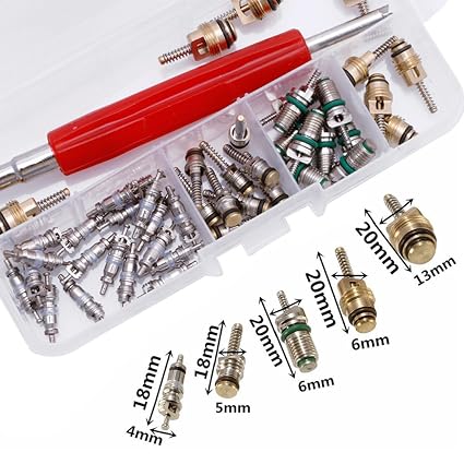Amrka 50Pcs A/C Core Valve R12/ R134A Air Conditioning Auto Car Assortment Remover Kit (603628747250)