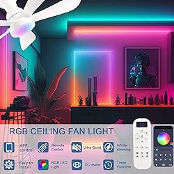 NKPU 42 Inch Ceiling Fans with Lights and