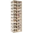 ANTBOX Foldable Shoe Rack,Shoe Organizers for Closet Plastic Shoe Storage Box for Entryway,Living Room,Large Sturdy Stackable Sneaker Cabinet Bins with Magnetic Clear Door 10 Tiers 20 Pairs