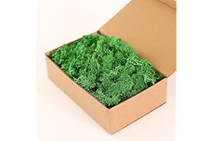Dallisten Moss Preserved, Craft Reindeer Green Decorative Moss for Enchanted Forest Decorations, Fairy Garden, Party, Art Wall, Indoor Potted Plants,Table, Terrariums, Bonsai Decor (3Green,3.6OZ)