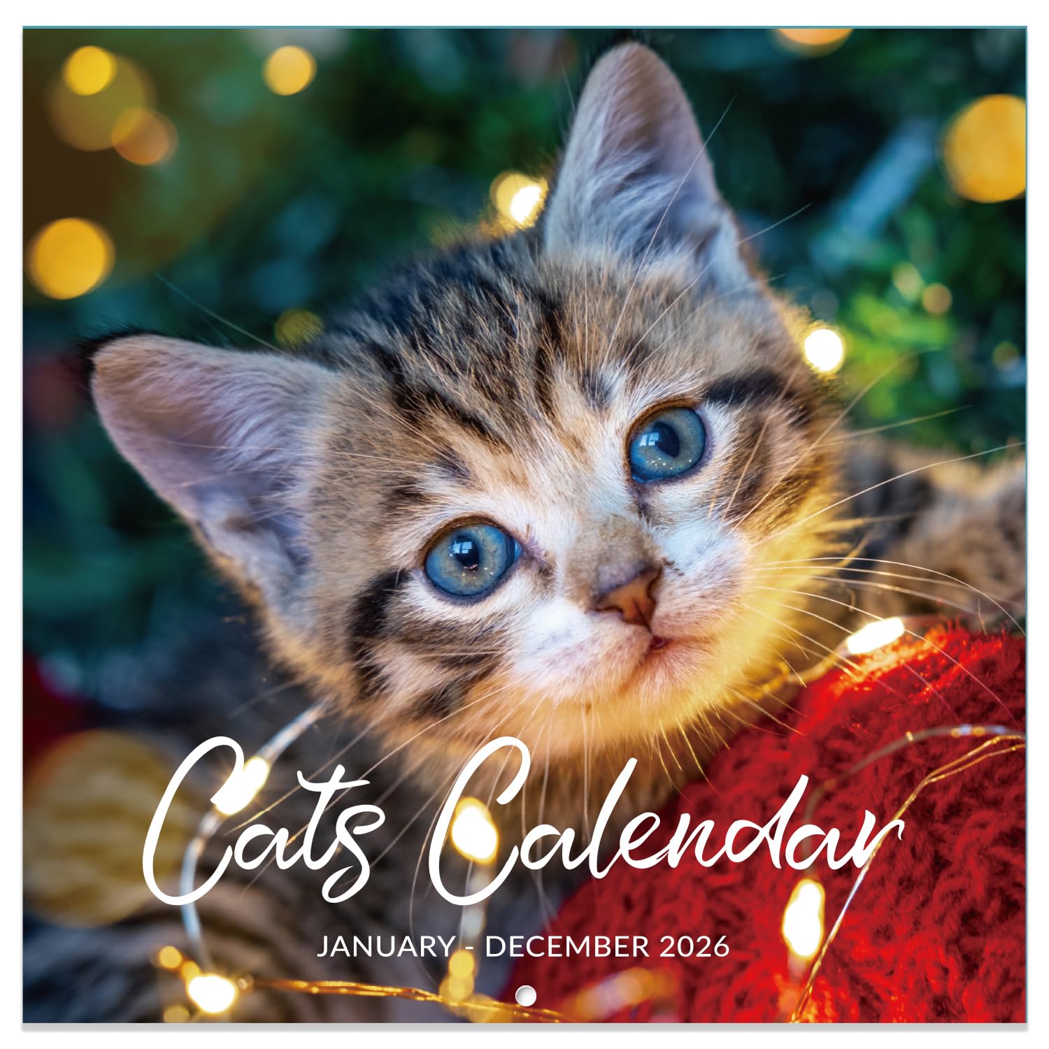 Photo 1 of 2026 Calendar - Wall Calendar 2026, Jan. 2026 - Dec. 2026, 12" x 24" 2026 Wall Calendar (open), Calendars with Unruled Blocks, Thick Paper - Cutie Cat