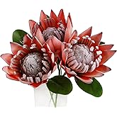 Tinsow Artificial Protea Cynaroides for Flower Arrangements, Faux Protea for Table Decoration Centerpieces, 3 Pieces Silk Bouquet for Wedding (3, Orange)