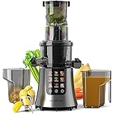 Cold Press Juicer Machines, 2-in-1 Masticating Juicer for Juice & Ice Cream, 200W Touchscreen Slow Juicer Extractor with 3.2"