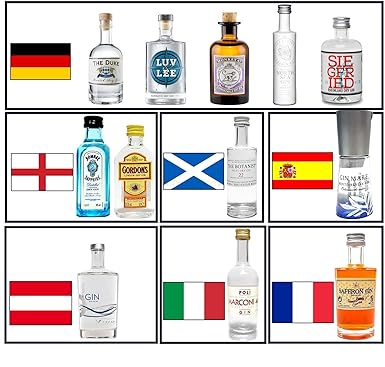 Gin Mini Set Probierset Weltreise 12 Gins aus aller Welt - Monkey 47, Siegfried, Luv & Lee, The Botanist, Bombay Sapphire, Sa