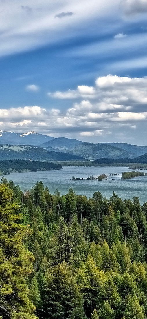 PeelitStickit, Beautiful Nature Wall Murals, ID-2839, vinyl