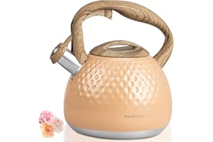 HAUCE RADIO Tea Kettle,2.5 Quart Stovetop Tea Kettles Loud Whistle,Food Grade Stainless Steel Water kettles for Stove Top with Anti-hot Ergonomic Handle,Suitable for All Heat Sources