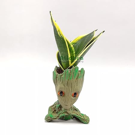 Alidhra Garden Groot with Live Snake Plant, Resin Material, Wooden Design, 13x10 cm, Pen Stand Pot & Widely Used for Indoor Plants, Bonsai and Succulent Plant Stand and Flower Pot for Home and Office
