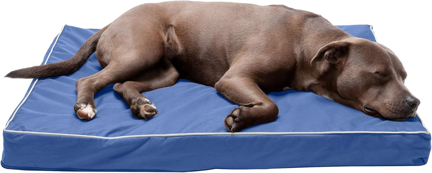 Furhaven Pet Dog Bed - Quilted Pillow Cushion Traditional Sofa-Style Living Room Couch Pet Bed with Removable Cover for Dogs and Cats, Silver Gray, Jumbo : Pet Supplies