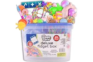 Sunny Days Entertainment 24 Piece Fidget Box, Sensory Toys with Storage Container, Party Favor, Treasure Box, Carnival, Pinata Stuffers, Adult Stress Relief, ADHD Toy