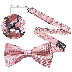 Barry.Wang Blush Pink Bow Ties for Men Pre-tied Bow