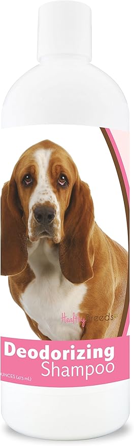 pomeranian cross kelpie