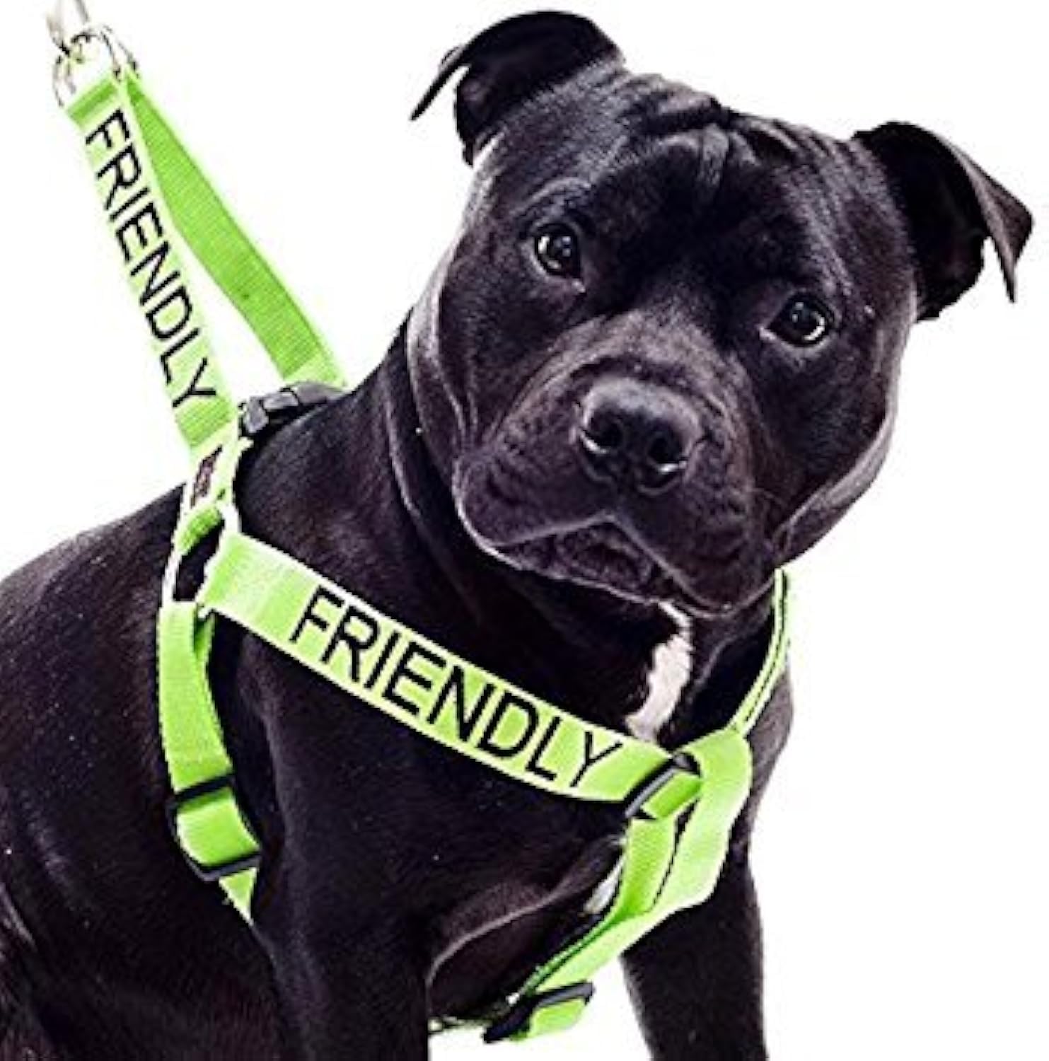 Dexil FRIENDLY (Known as Friendly to all) Green Colour Coded Non Pull L-XL Dog Harness PREVENTS Accidents By Warning Others Of Your Dog In Advance