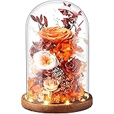 Laladeyek Eternal Rose Sunset Orange Flower Preserved Long Lasting Stable Color Natural Material Symbol of Everlasting Love for Wife Mothers Select Anniversary Rose