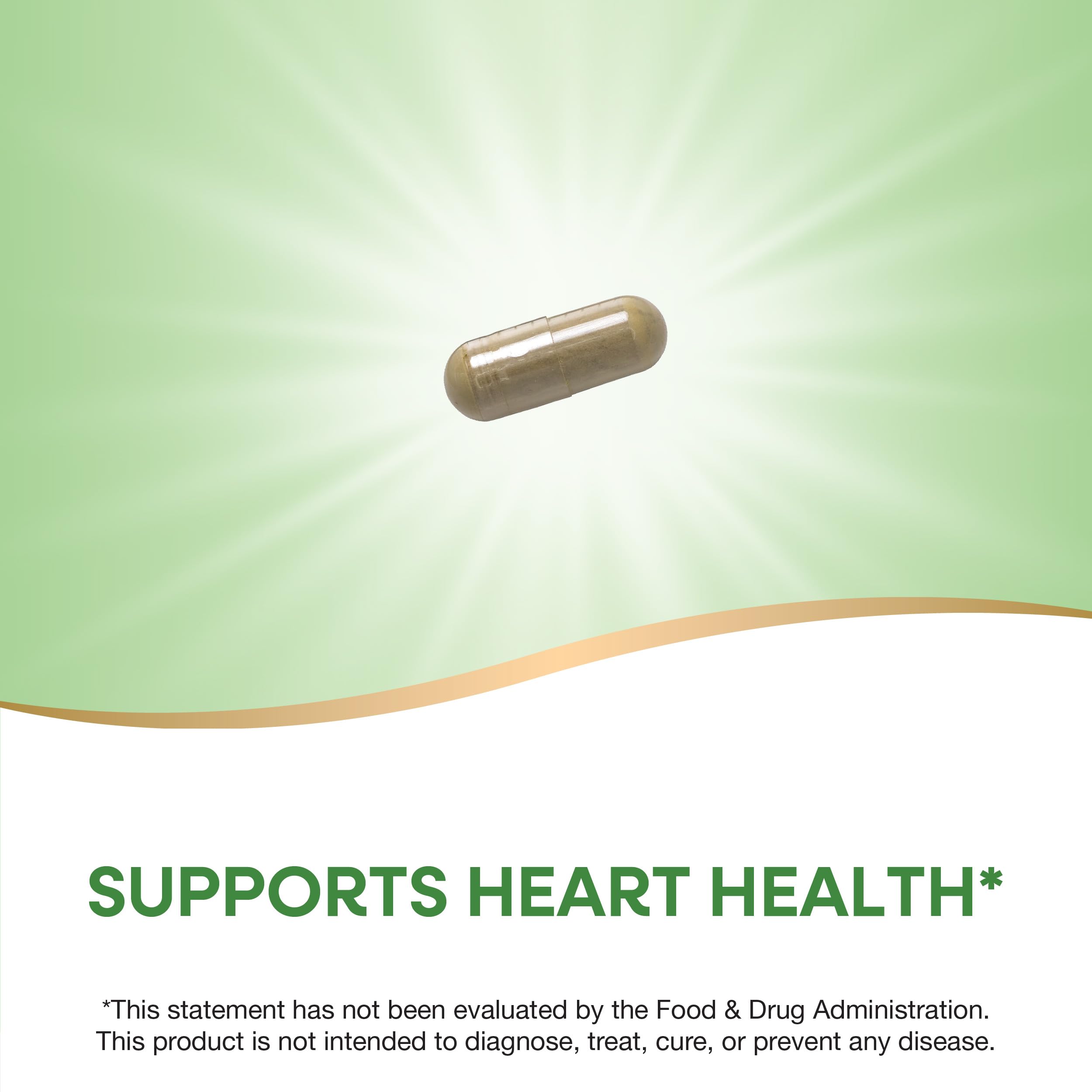 Nature's Way Olive Leaf Premium Extract Supplement, Supports Heart Health*, 250 mg Per Serving, Gluten Free, Vegan, 60 Capsules (Packaging May Vary)