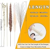 Yukiyi 90Pcs Natural Dried Pampas Grass Bouquet 45cm Boho Decor view 2