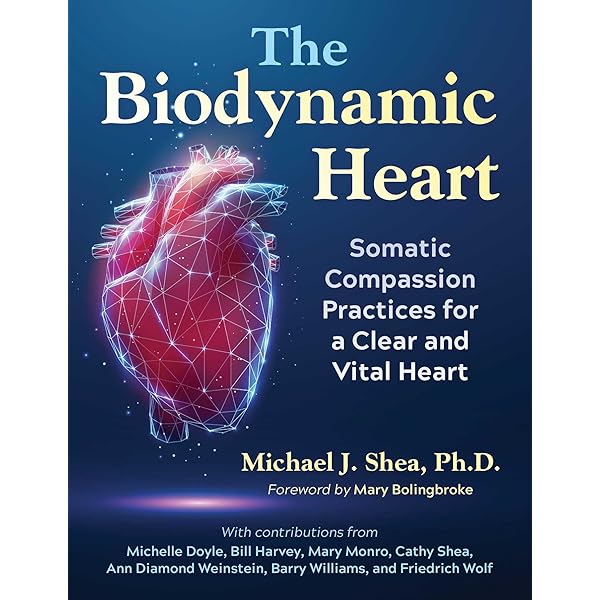 Cardiology Board Review and Self-Assessment: A Companion Guide to Hurst&#39;s the Heart [ペーパーバック] Eisenberg， Mark J.， M.D.、 Afilalo， Jonathan， M.D.、 Joza， Jacqueline E.， M.D.、 Karra， Ravi， M.D.; Lawler， P Cardiology Board Review and Self-Assessment: A Companion