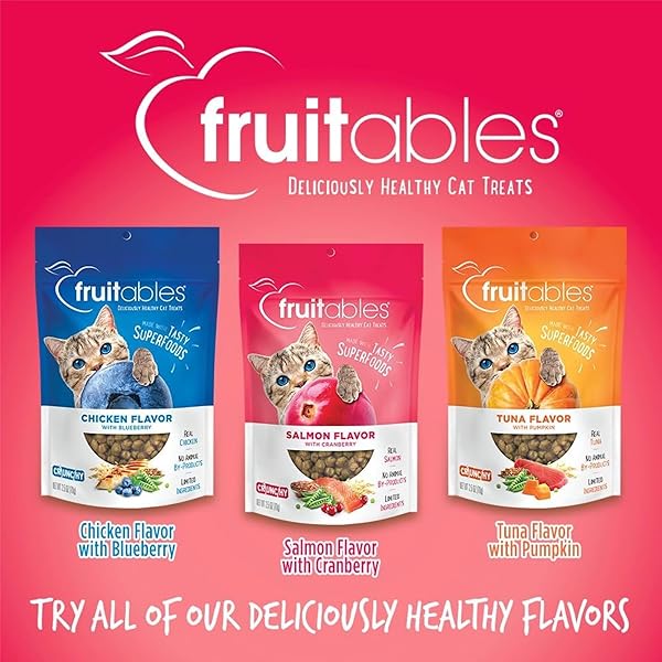 FRUITABLES CAT TREATS, HEALTHY TREATS FOR CATS, LOW CALORIE AND PACKED WITH PROTEIN, CRUNCHY BISCUITS, NO WHEAT, CORN OR SOY, MADE WITH REAL SALMON AND CRANBERRY, 2.5OZ
