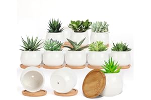 SHECIPIN Succulent Pots, White Mini 2.5 inch Ceramic Flower Planter Pot with Bamboo Tray, Pack of 12 - Plants Not Included