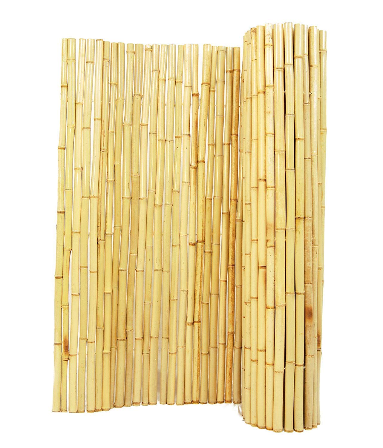 Backyard X Scapes Natural Rolled Bamboo Fence 1in D X 4ft H X 8ft