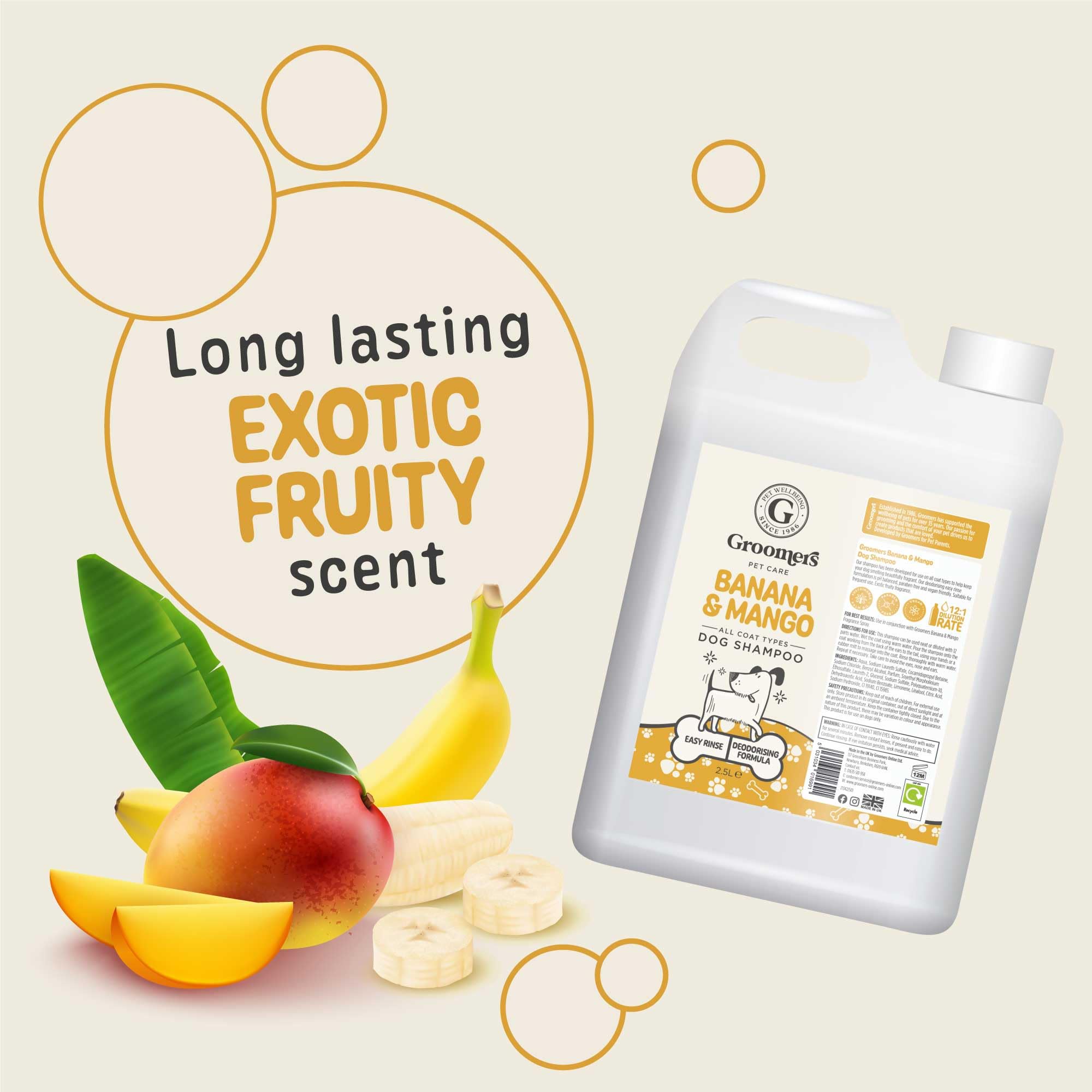View 4