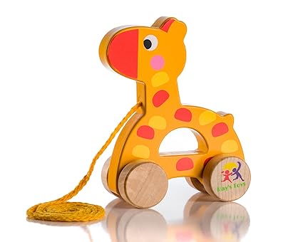 best pull toy for 1 year old