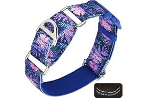 ONEFOJOJO Martingale Collar for Dogs, Reflective Adjustable Soft Nylon Dog Collars with Boho Flower Patterns for Small Medium Large Dog (M)