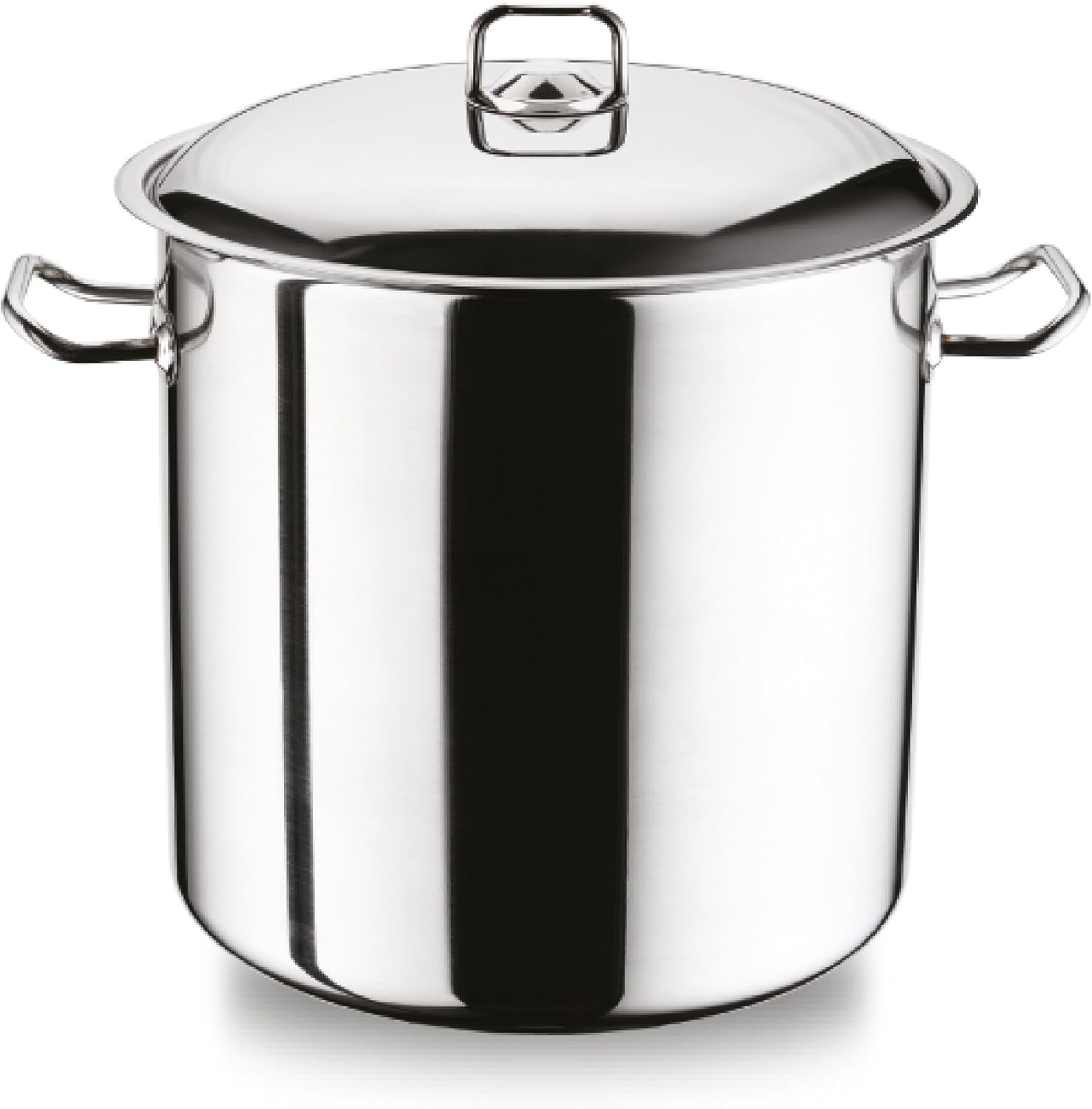 Arian Gastro Large Deep Stainless Steel Induction Stock Pot Casserole