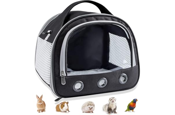 beef bone marrow bones for dogs