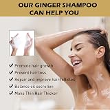 KAYZON Natural Organic Ginger Shampoo 2Pcs - Hair Growth Anti-Dandruff view 4