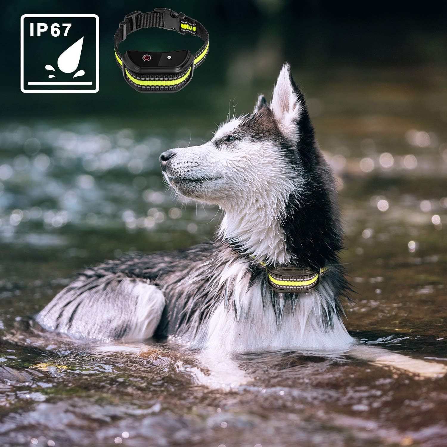 Flittor Dog Training Collar, Shock Collar for Dogs with Remote, Rechargeable Dog Shock Collar, 3 Modes Beep Vibration and Shock Waterproof Bark Collar for Small, Medium, Large Dogs : Flittor : Pet Supplies