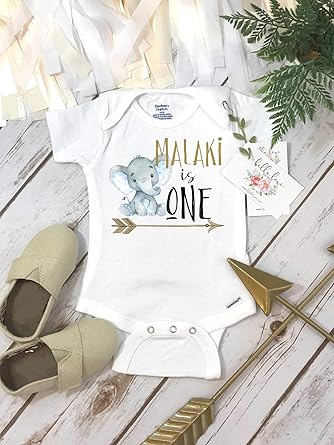 Amazon Com First Birthday Elephant Theme Birthday Shirt 1st