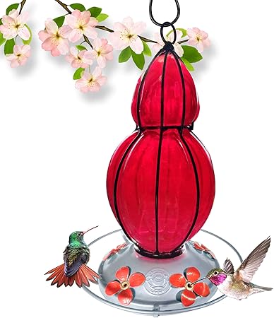 Amazon Com Grateful Gnome Hummingbird Feeder Hand Blown