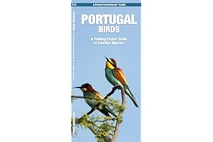 Portugal Birds