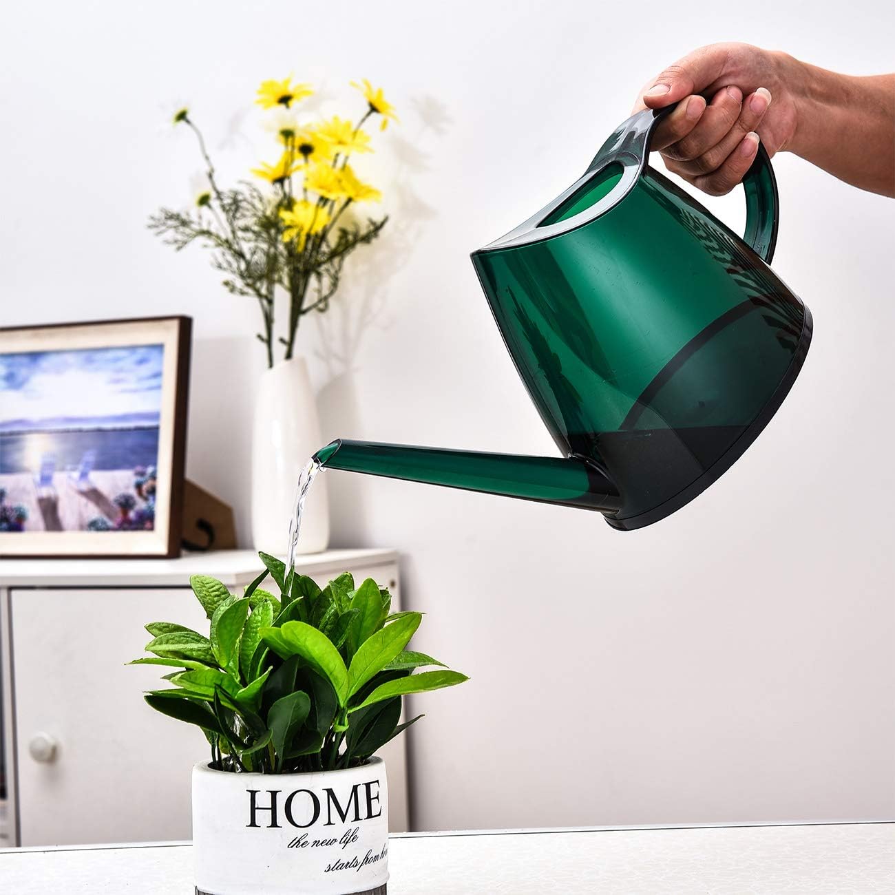 NERUB Indoor Watering Can for House Bonsai Plants, Small Watering Can with Long Spout Succulents Decorative Garden Flower 1/3 Gallon 1.4 L Modern Watering Pot Green : Garden & Outdoor