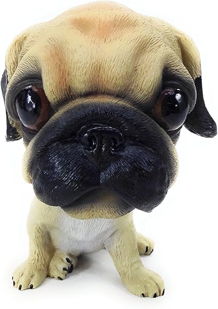 argentinian mastiff puppy