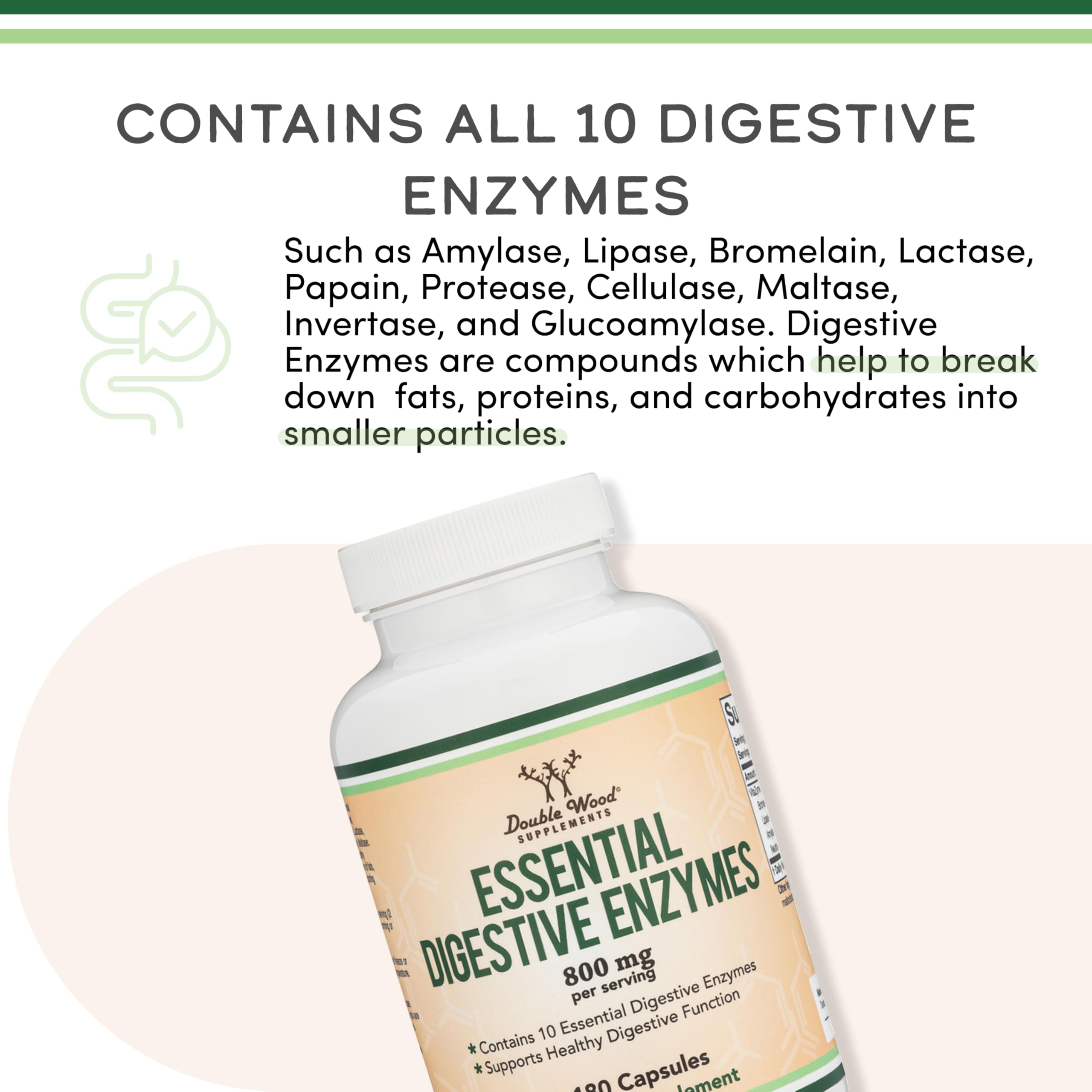 Digestive Enzymes - 800mg Blend of All 10 Most Essential Digestive and Pancreatic Enzymes (Amylase, Lipase, Bromelain, Lactase, Papain, Protease, Cellulase, Maltase, Invertase) by Double Wood