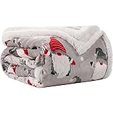 LaffyLo Electric Heated Blanket Queen Size - 84"x90", 10 Heating Levels, 1-12 H Auto Shut Off, Dual Controllers, Breathable Flannel Warm and Washable for Bed, Santa Claus for Christmas