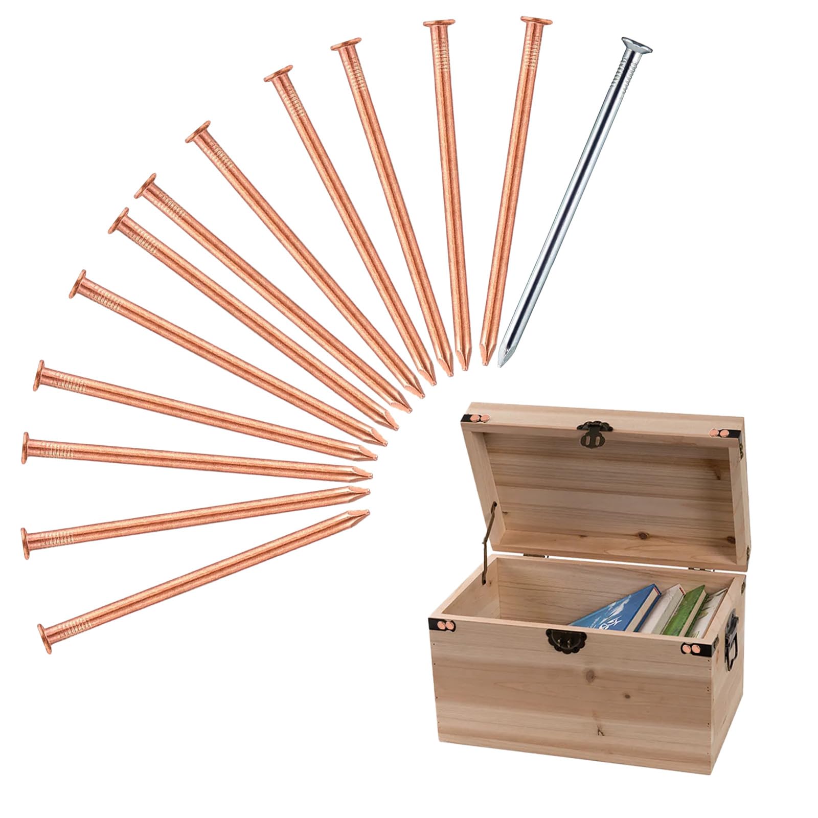 MFCGHXR 4 Inch (100 mm) 12 Pieces Copper Nails Large Long for Killing Trees, Stump Removal Spikes with 1 Piece 4 Inch Steel Nail, Storage Box Included