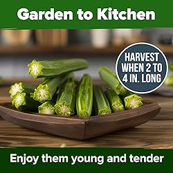 HOME GROWN