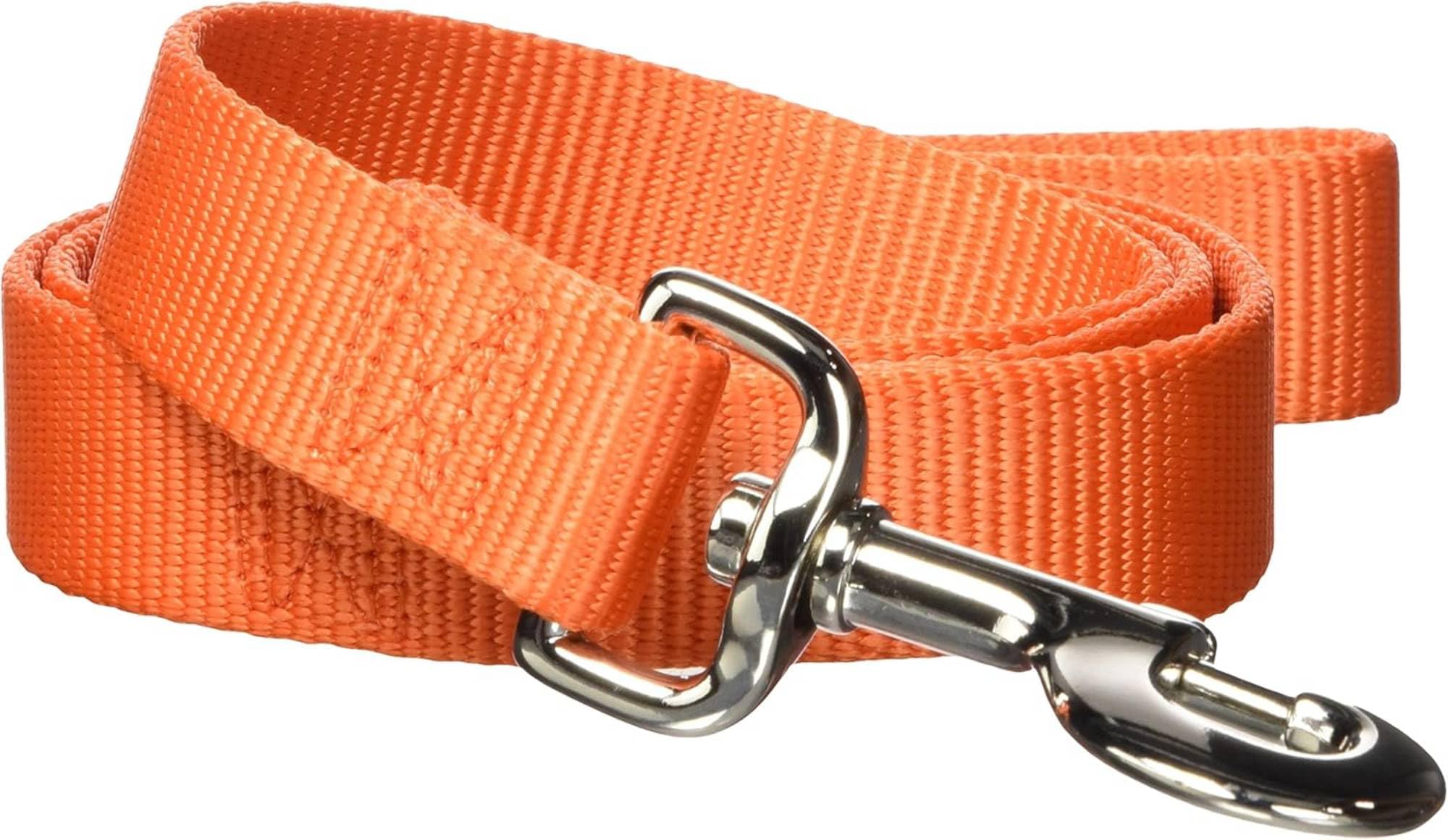 Hamilton Single Thick Nylon Lead with Snap -1 inch x 6 foot lead - Mango Orange
