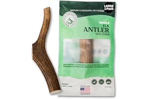MOUNTAIN VALLEY ANTLERS Mountain Valley Elk Antlers for Dogs - 100% Natural & Organic Chew for Aggressive Chewers, No Odor, No Mess, Long Lasting - Wild-Foraged Naturally Shed Antlers in USA - Grade A, Whole Large (1 Pack)